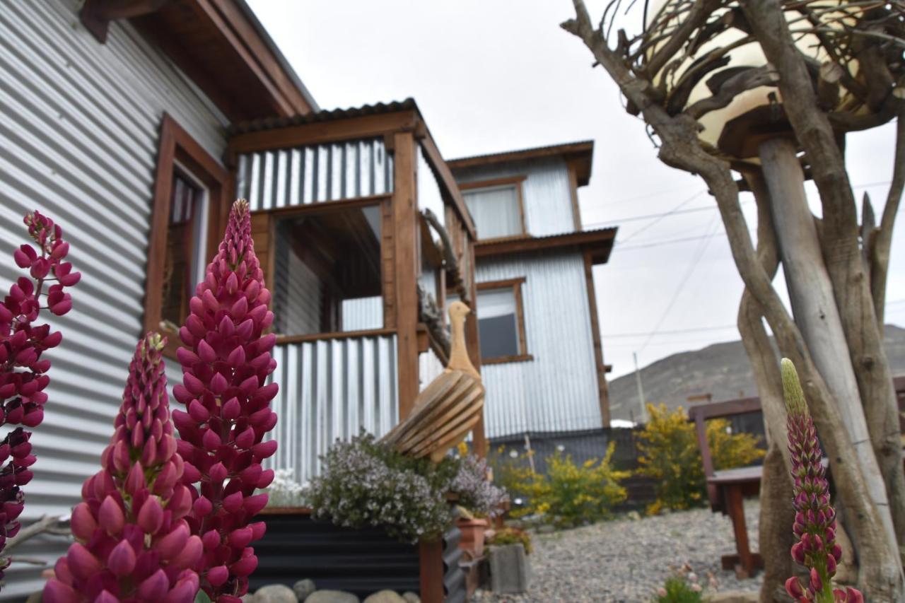 Nido De Luna El Calafate Eksteriør billede